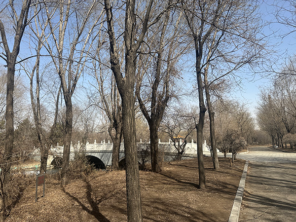 墓园环境